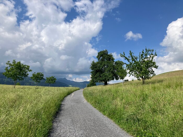 Das Unterwegssein in der Natur hilft, die Gedanken zu ordnen und zu sich zu kommen.